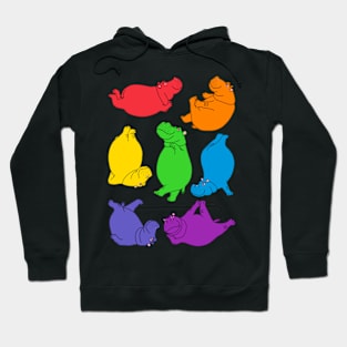 Hippo Workout - bright rainbow Hoodie